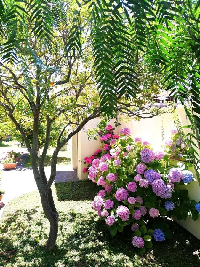 شقة A Casa Di Iole فيوميتشينو المظهر الخارجي الصورة