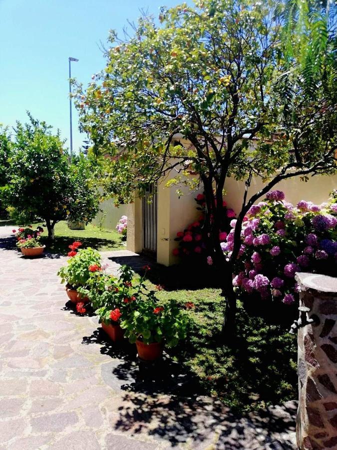 شقة A Casa Di Iole فيوميتشينو المظهر الخارجي الصورة